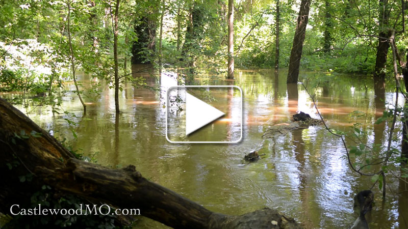 Flooded River Scene Trail