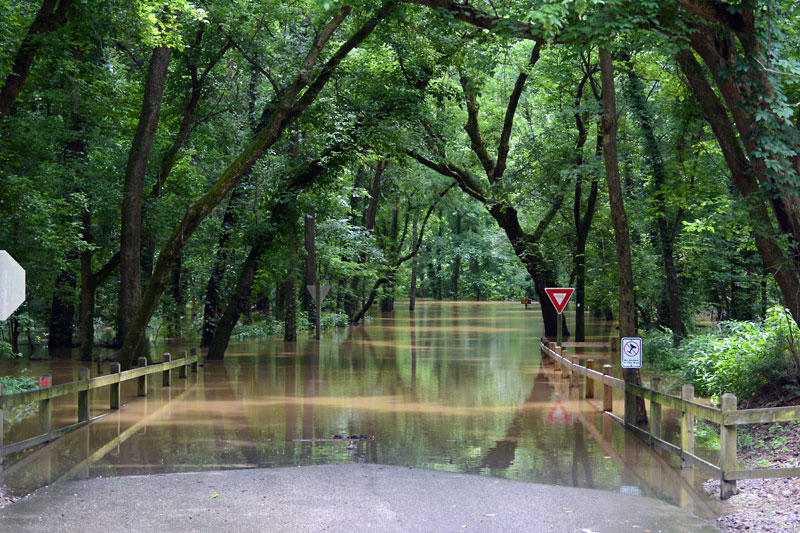 Flooded_Park_Road.jpg